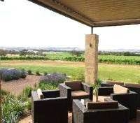 View of Vineyards frrom Terrace